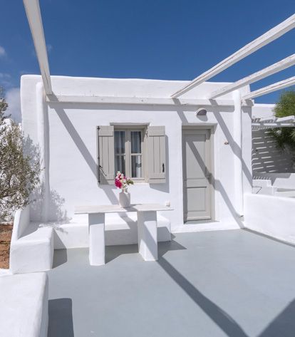 STANDARD ΔΩΜΑΤΙΟ ΘΕΑ ΚΗΠΟΣ